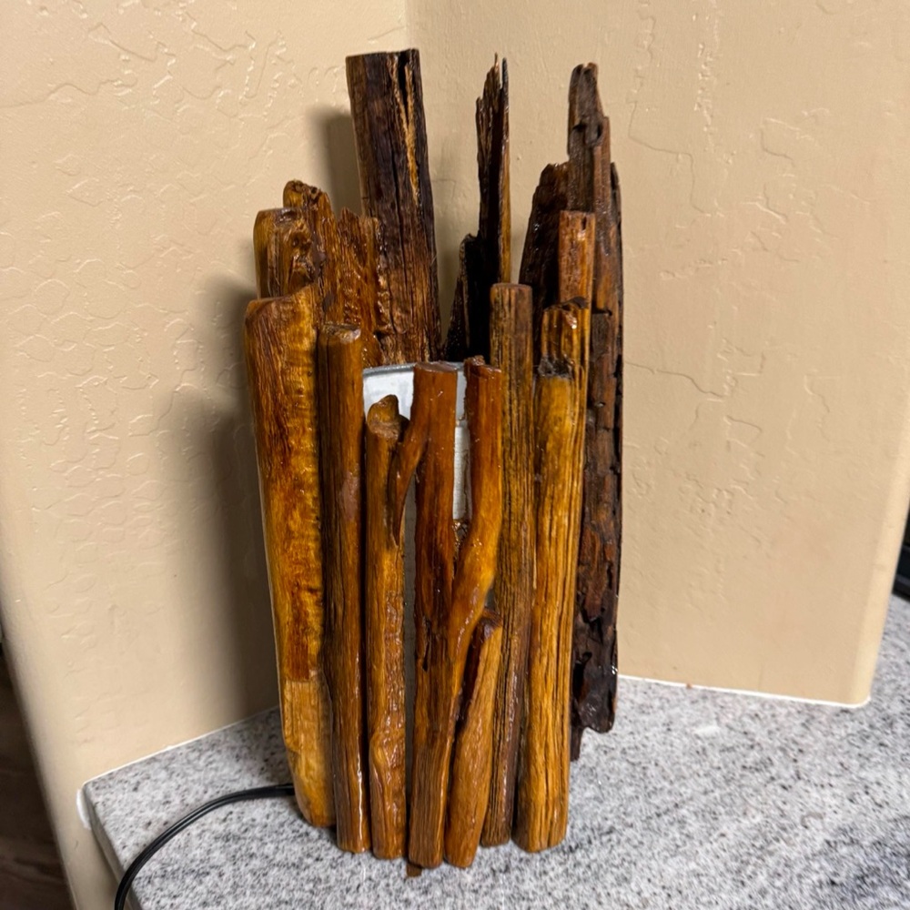 Saguaro RARE Cactus skeleton wood Desert lamp sconce light decor light fixture